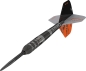 Preview: Target RVB ECHO 95% Swissdarts 25 Gram
