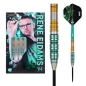 Preview: Rene Eidams Signature V4 Steeldart 24g