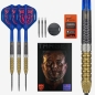 Preview: RAYMOND VAN BARNEVELD 95% GEN6 23G SP Steeldart