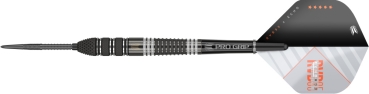 Target RVB ECHO 95% Swissdarts 23 Gram