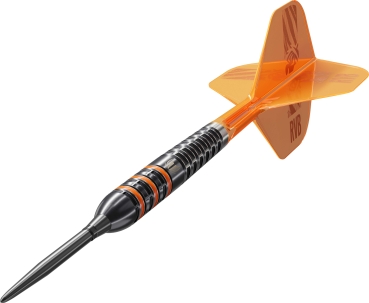 Preview: RVB SP 95K Swissdarts 21g