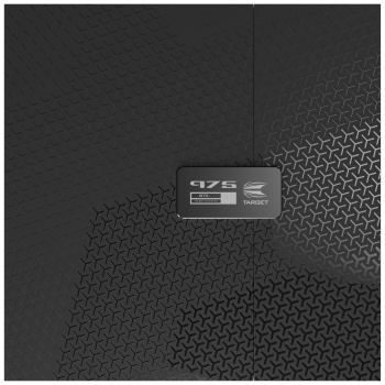 Target 975 01  SWISS Steeldart 24 Gramm 97,5% Tungsten