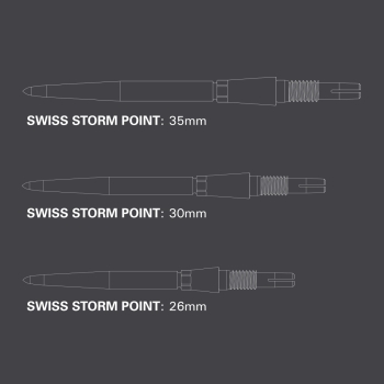 Preview: Target Swiss Point Storm Silver 35mm