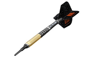 RVB Barneveld G2 95% Tungsten 17 Gramm Soft Tip Darts mit Plastikspitzen