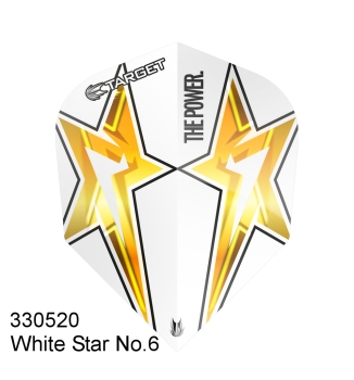 Target POWER WHITE STAR Flight Standart Generation 3