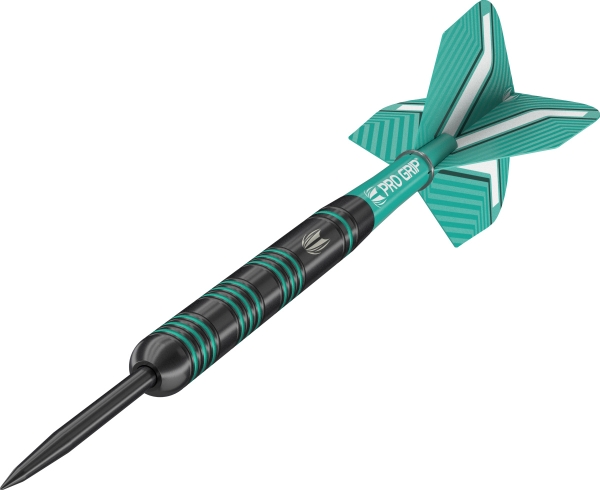 Target Rob Cross Black 80% Tungsten 24 Gramm Steeldart Schwarz