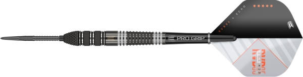 Target RVB ECHO 95% Swissdarts 25 Gram