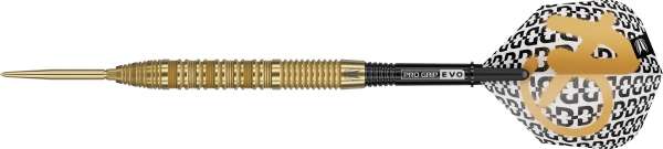 Bolide Envy 01 90% Swissdart 24g