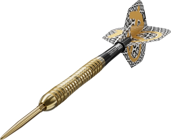 Bolide Envy 04 90% Swissdart 25g