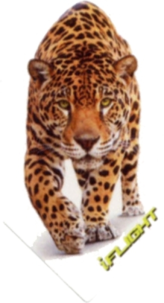 I-Flight  Schmal Leopard Nr. 1022